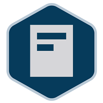 Icon of a simple document